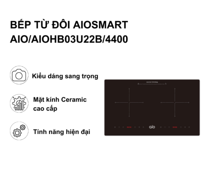 Bếp từ đôi AIO (AIO/AIOHB03U22B/4400)