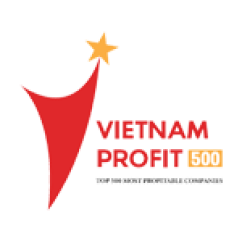 Vietnam profit 500